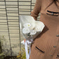 ミニブーケ×ペーパーワンホンブーケ タイプ2 | Mini Paper Wanhon Bouquet Type 2